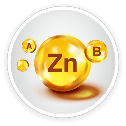 Quietum Plus Ingredients